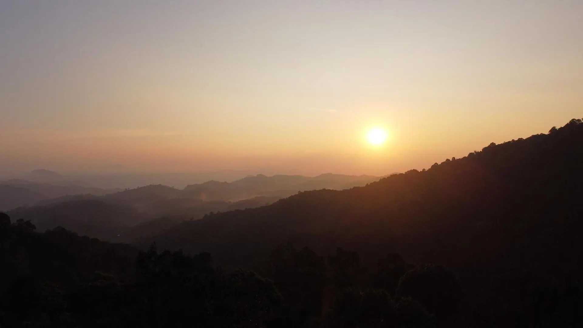 900 Woods Wayanad Eco Resort - A Sprawling Jungle Stay Near Glass Bridge Meppadi Индия