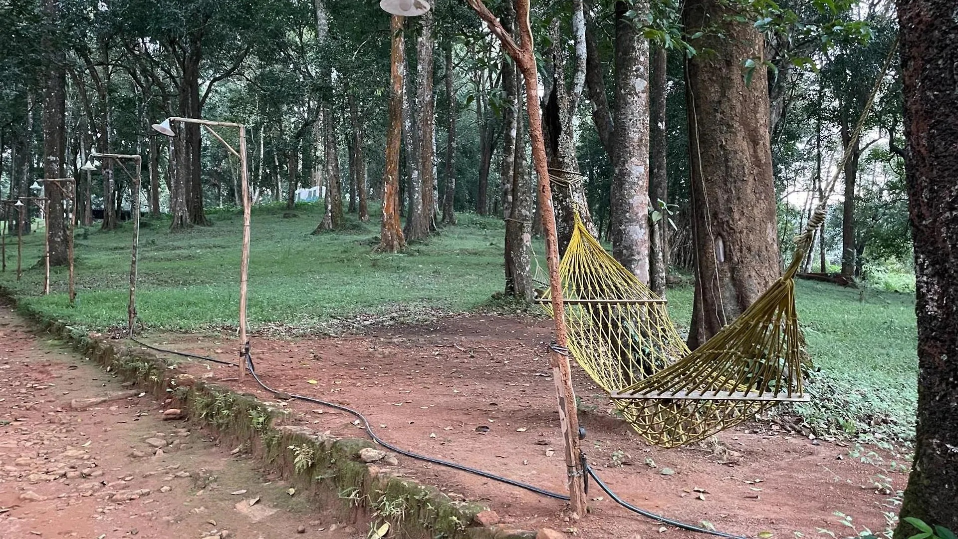 900 Woods Wayanad Eco Resort - A Sprawling Jungle Stay Near Glass Bridge Meppadi
