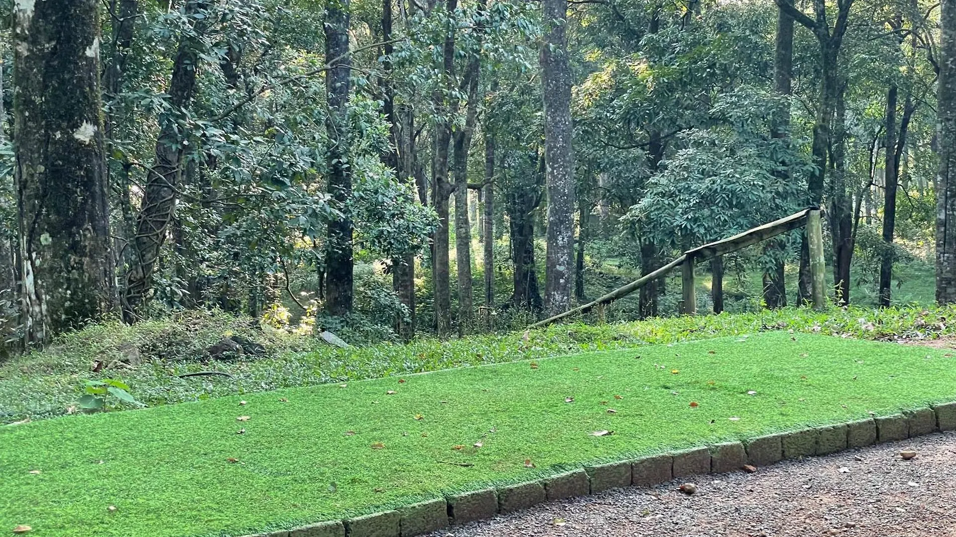 900 Woods Wayanad Eco Resort - A Sprawling Jungle Stay Near Glass Bridge Meppadi