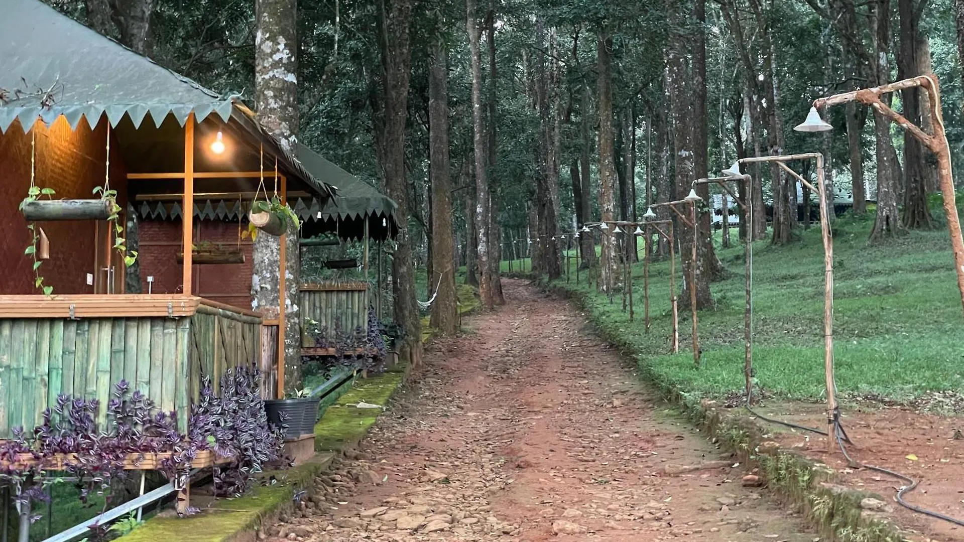 900 Woods Wayanad Eco Resort - A Sprawling Jungle Stay Near Glass Bridge Meppadi