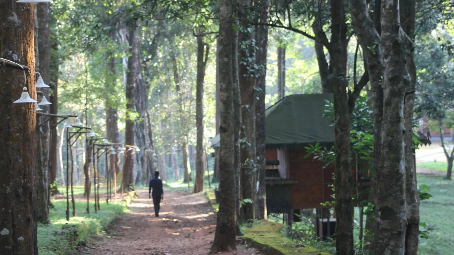 900 Woods Wayanad Eco Resort - A Sprawling Jungle Stay Near Glass Bridge Meppadi Индия