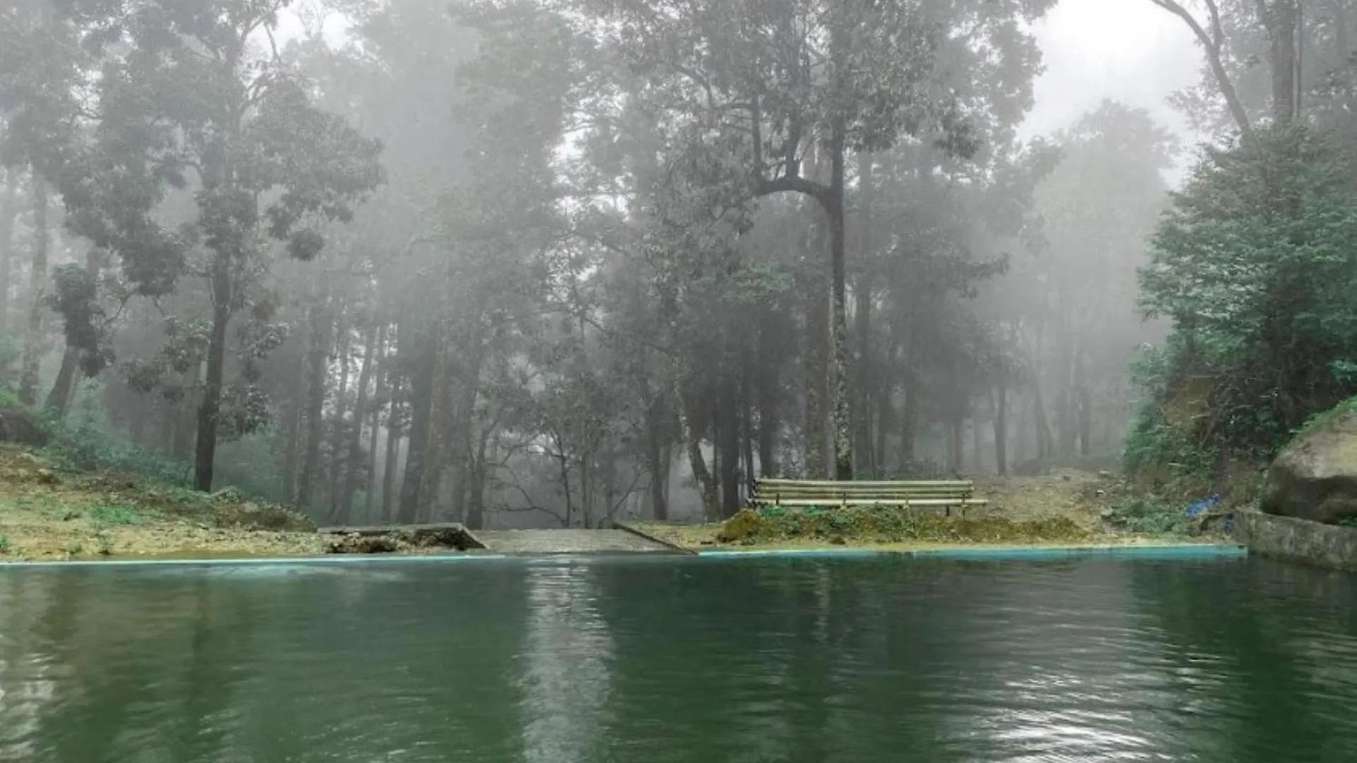 900 Woods Wayanad Eco Resort - A Sprawling Jungle Stay Near Glass Bridge Meppadi