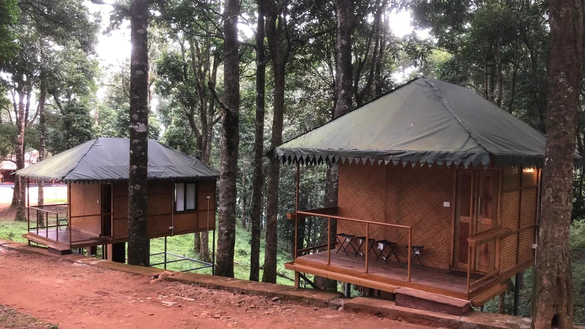 900 Woods Wayanad Eco Resort - A Sprawling Jungle Stay Near Glass Bridge Meppadi