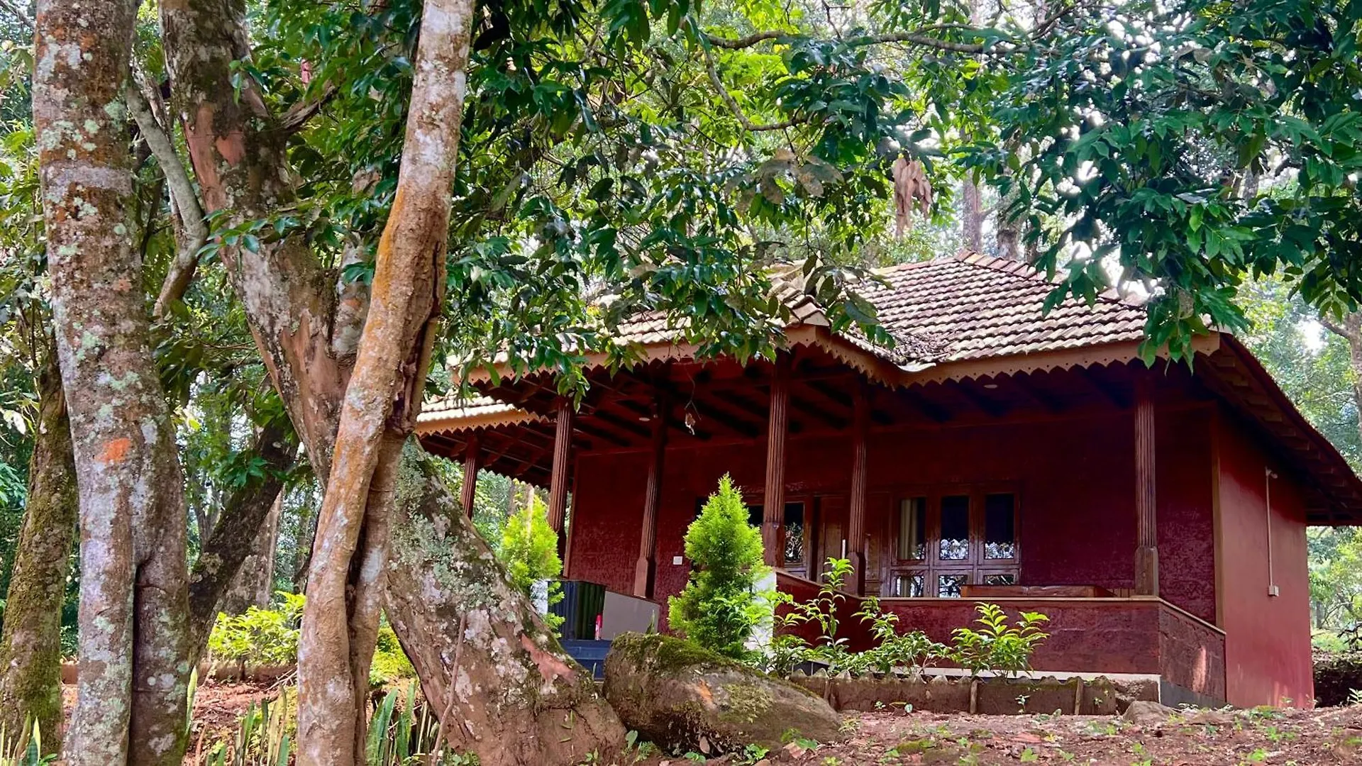 900 Woods Wayanad Eco Resort - A Sprawling Jungle Stay Near Glass Bridge Meppadi