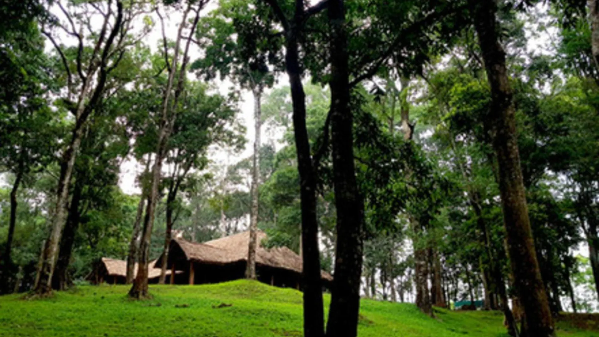 900 Woods Wayanad Eco Resort - A Sprawling Jungle Stay Near Glass Bridge Meppadi 0*,  Индия