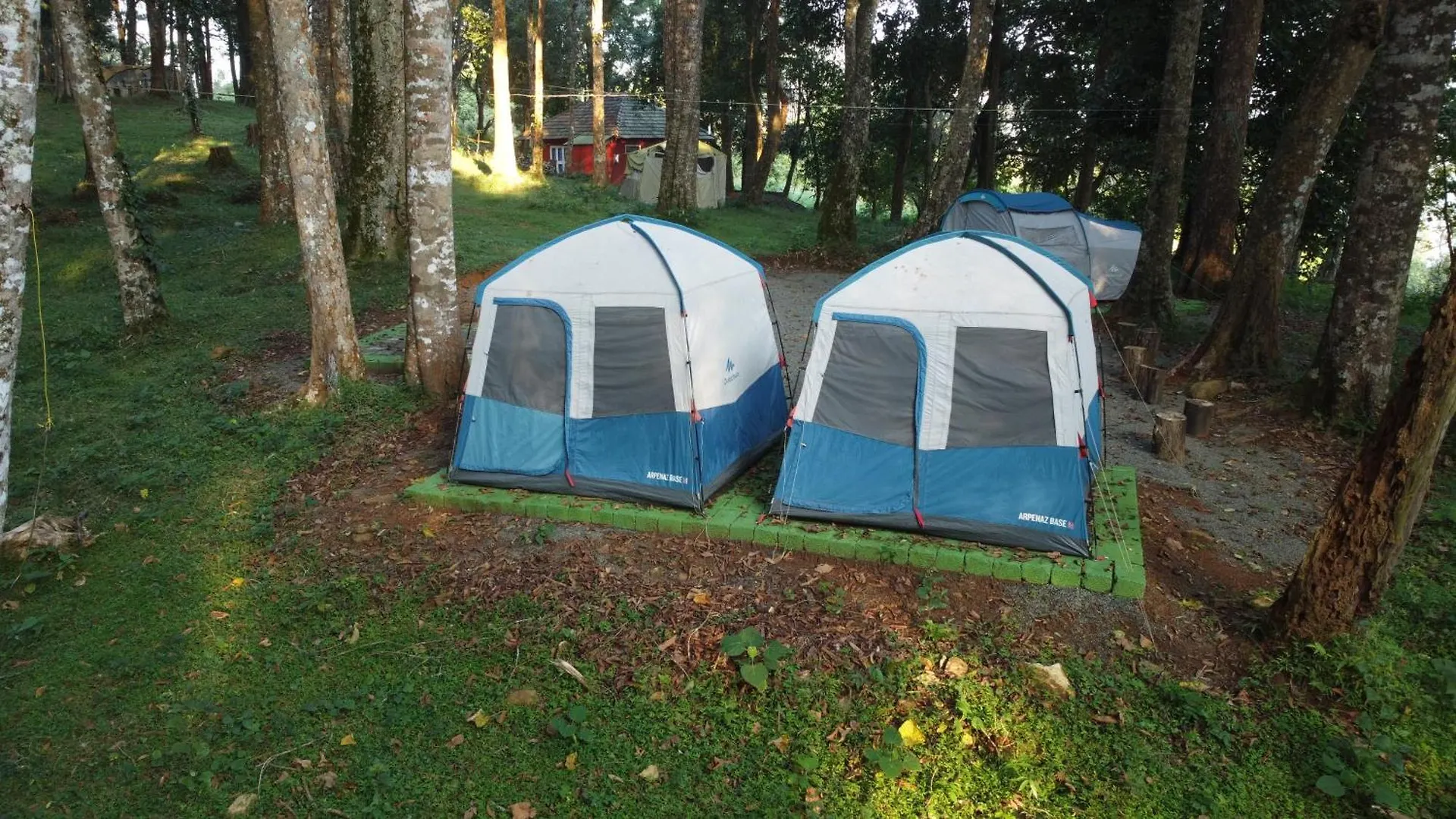 900 Woods Wayanad Eco Resort - A Sprawling Jungle Stay Near Glass Bridge Meppādi