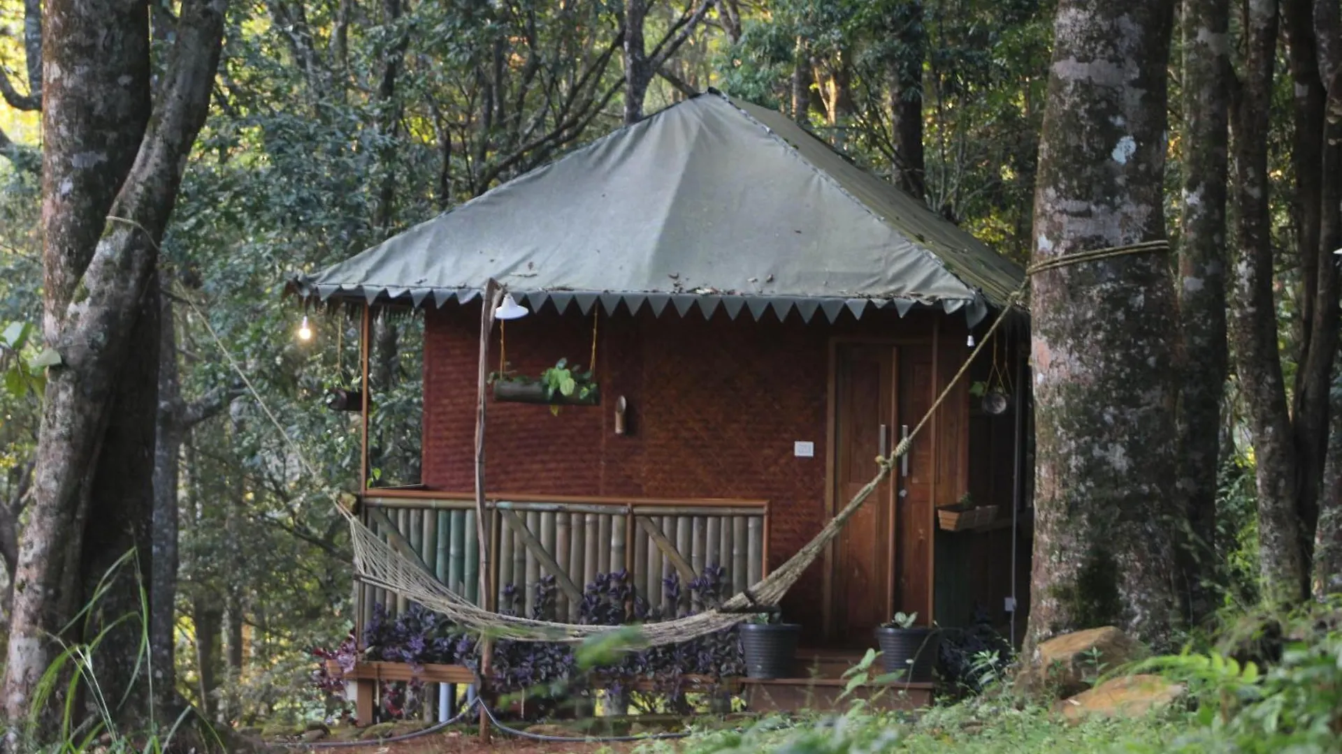 900 Woods Wayanad Eco Resort - A Sprawling Jungle Stay Near Glass Bridge Meppādi