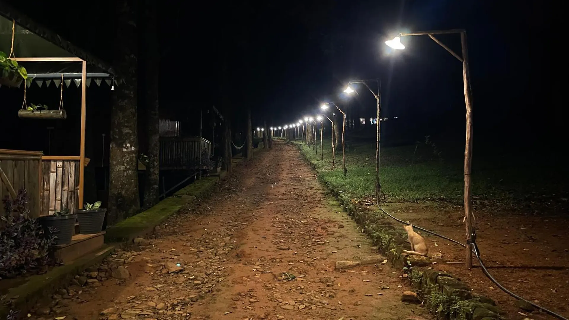 900 Woods Wayanad Eco Resort - A Sprawling Jungle Stay Near Glass Bridge Meppādi