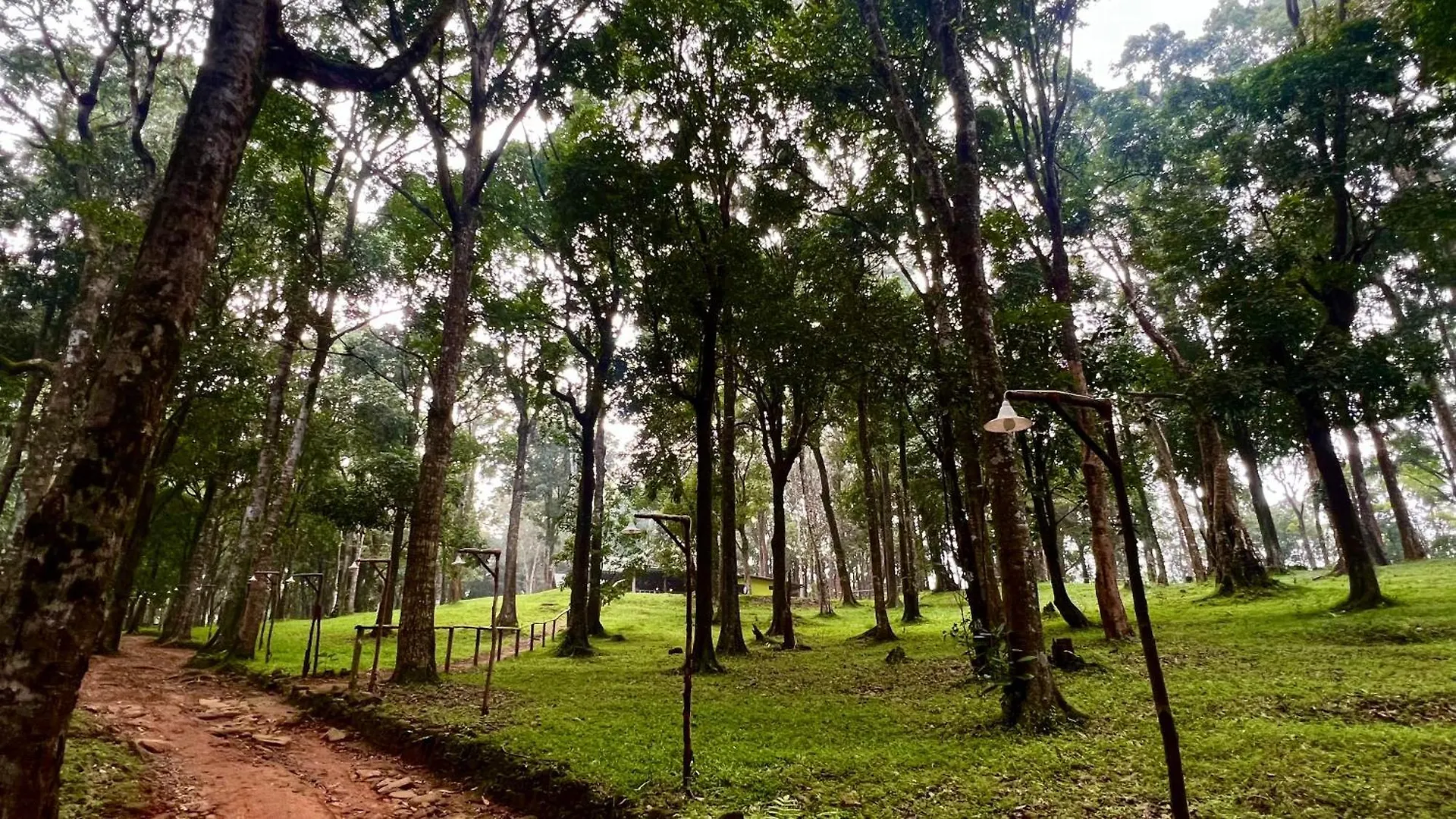 900 Woods Wayanad Eco Resort - A Sprawling Jungle Stay Near Glass Bridge Meppādi India