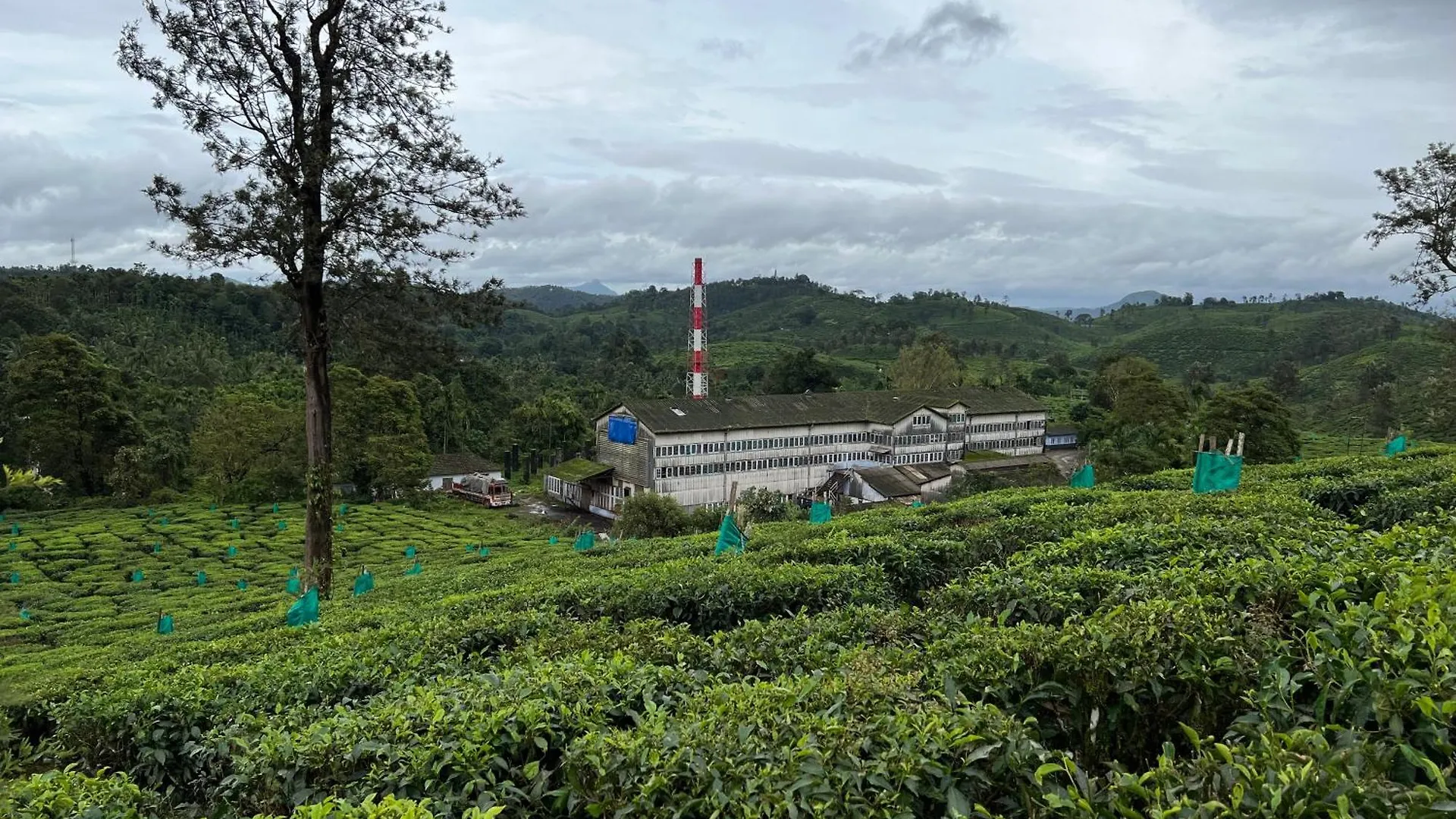 900 Woods Wayanad Eco Resort - A Sprawling Jungle Stay Near Glass Bridge Meppādi