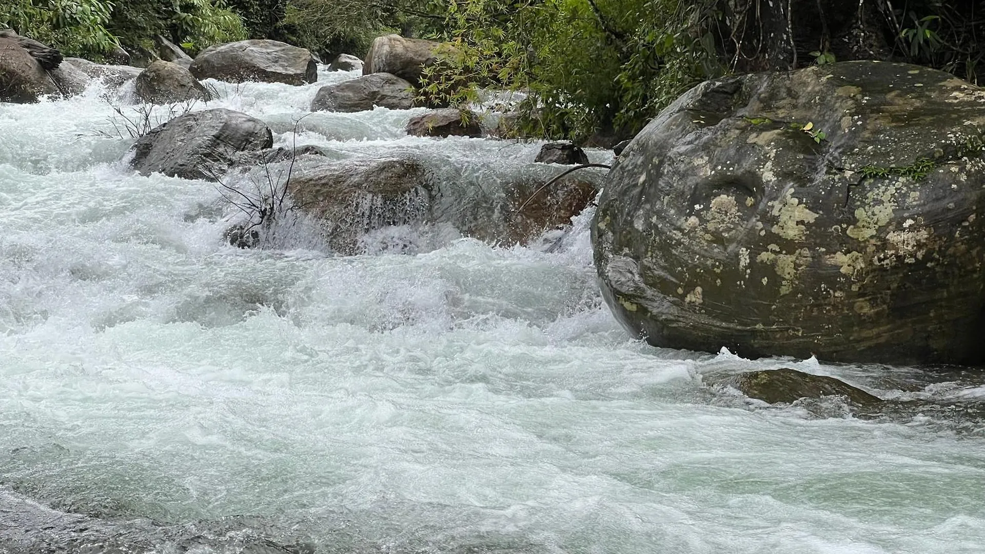 900 Woods Wayanad Eco Resort - A Sprawling Jungle Stay Near Glass Bridge Meppādi India