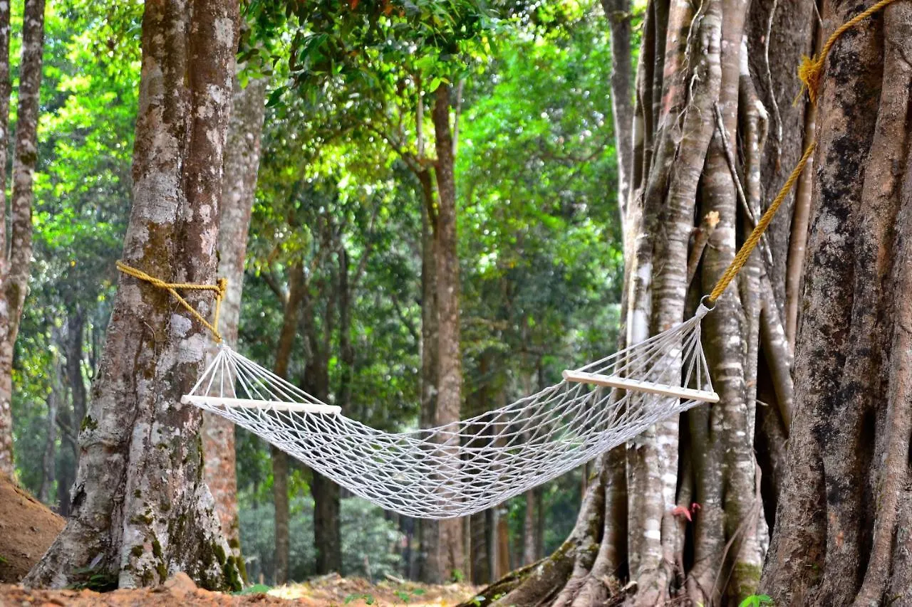 900 Woods Wayanad Eco Resort - A Sprawling Jungle Stay Near Glass Bridge Meppādi