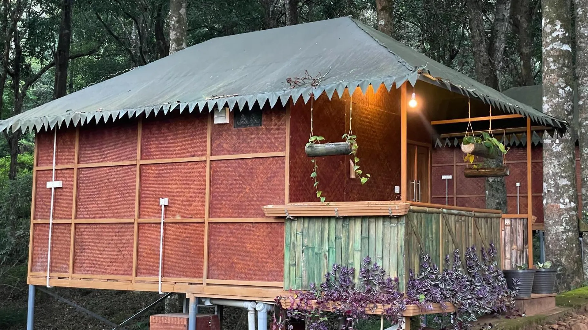 900 Woods Wayanad Eco Resort - A Sprawling Jungle Stay Near Glass Bridge Meppādi 0*,