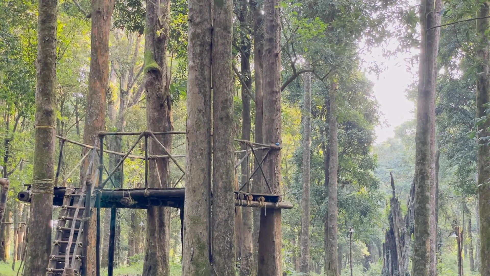 900 Woods Wayanad Eco Resort - A Sprawling Jungle Stay Near Glass Bridge Meppādi