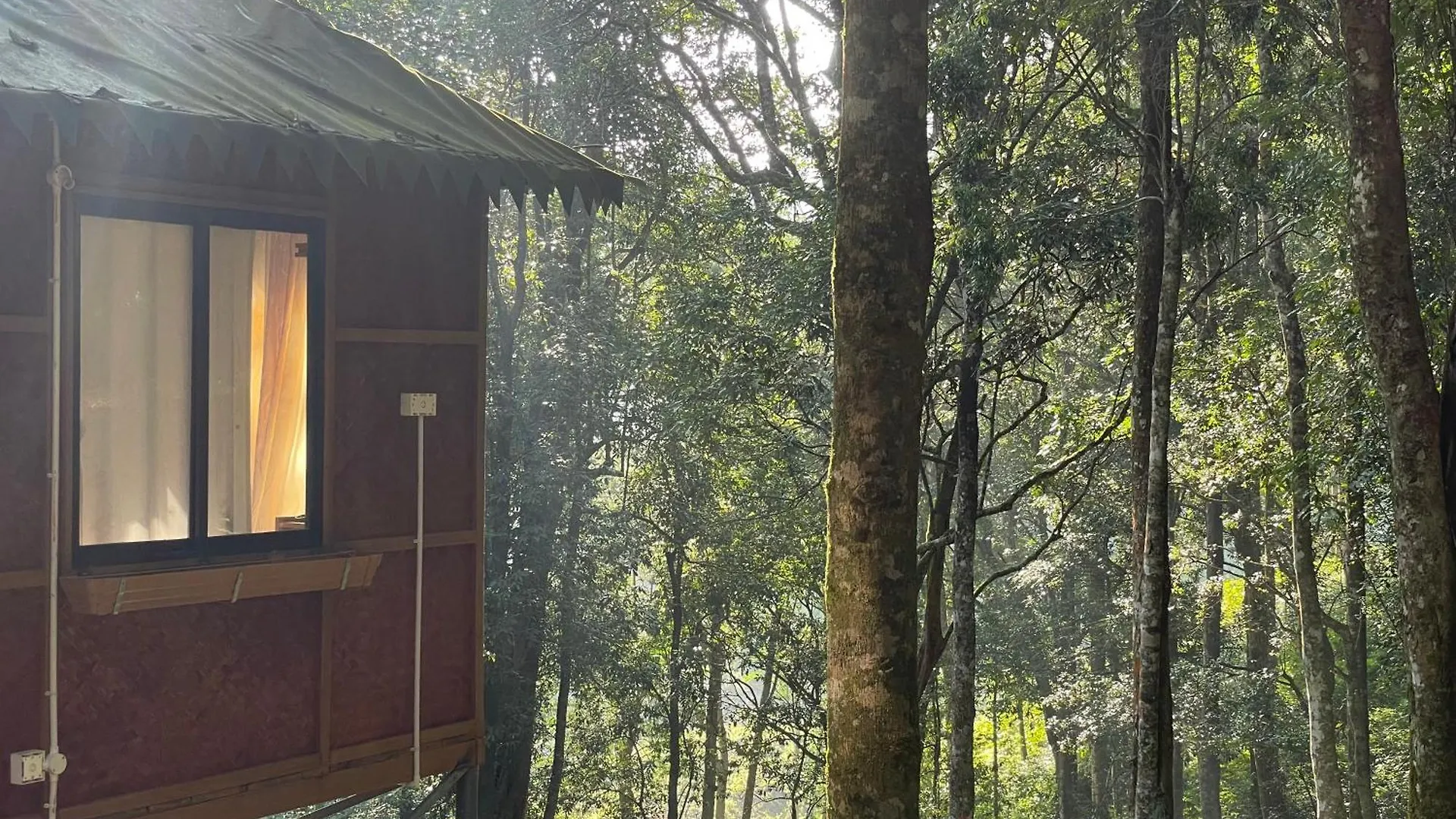 900 Woods Wayanad Eco Resort - A Sprawling Jungle Stay Near Glass Bridge Meppādi 인도