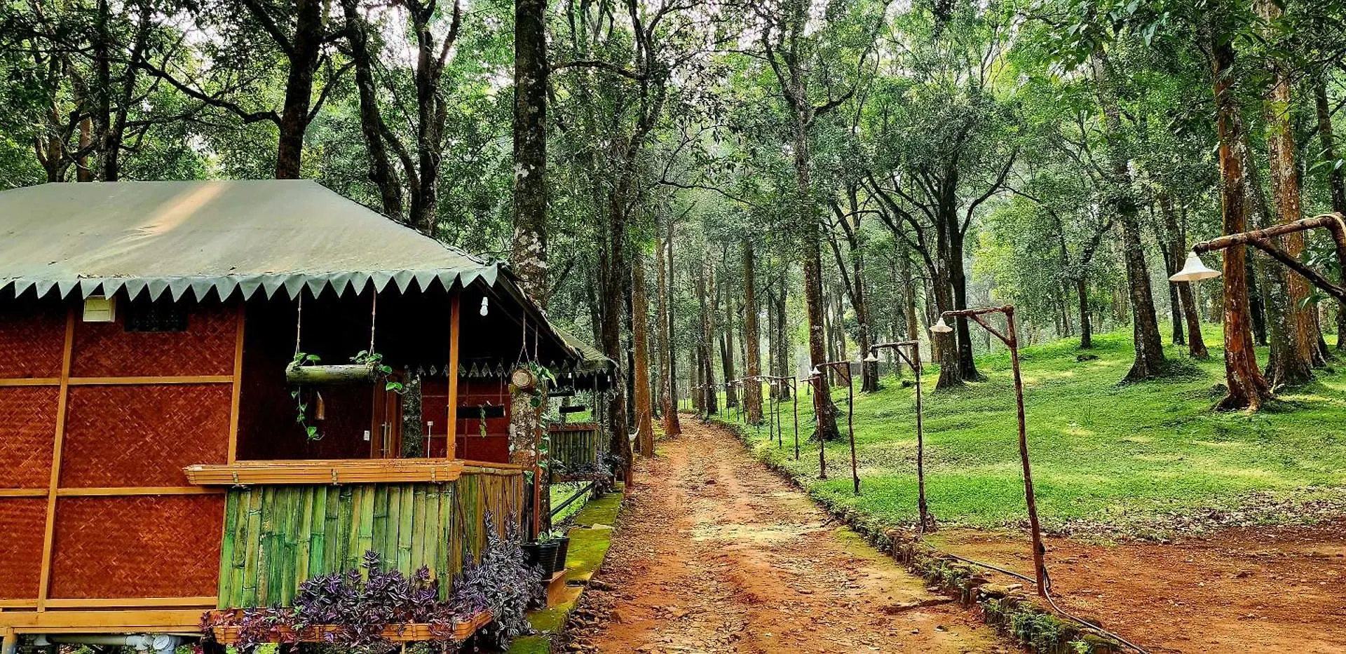 900 Woods Wayanad Eco Resort - A Sprawling Jungle Stay Near Glass Bridge Meppādi