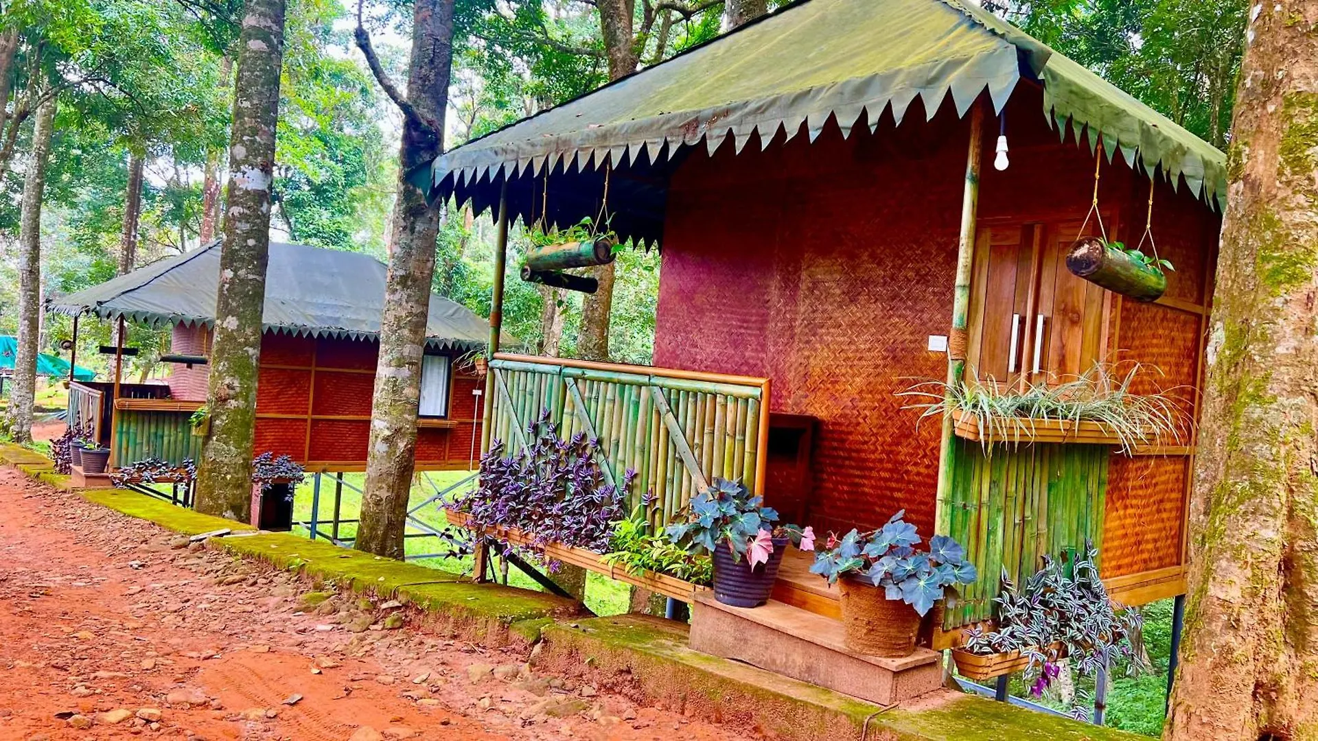 900 Woods Wayanad Eco Resort - A Sprawling Jungle Stay Near Glass Bridge Meppādi 인도