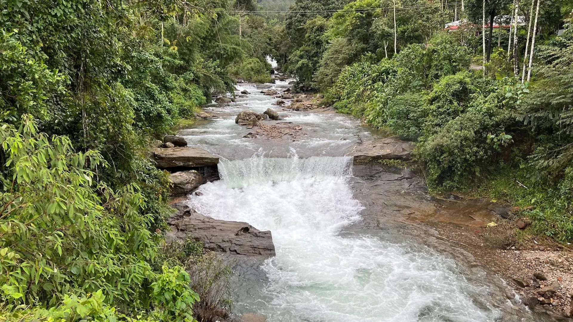900 Woods Wayanad Eco Resort - A Sprawling Jungle Stay Near Glass Bridge Meppādi